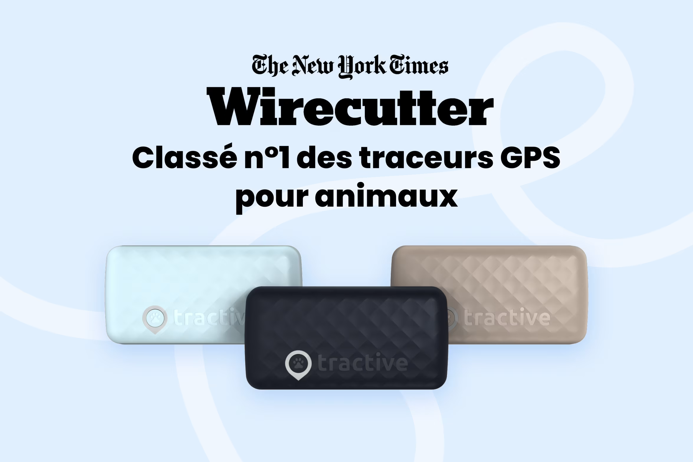 PetVision CAT Vision 6