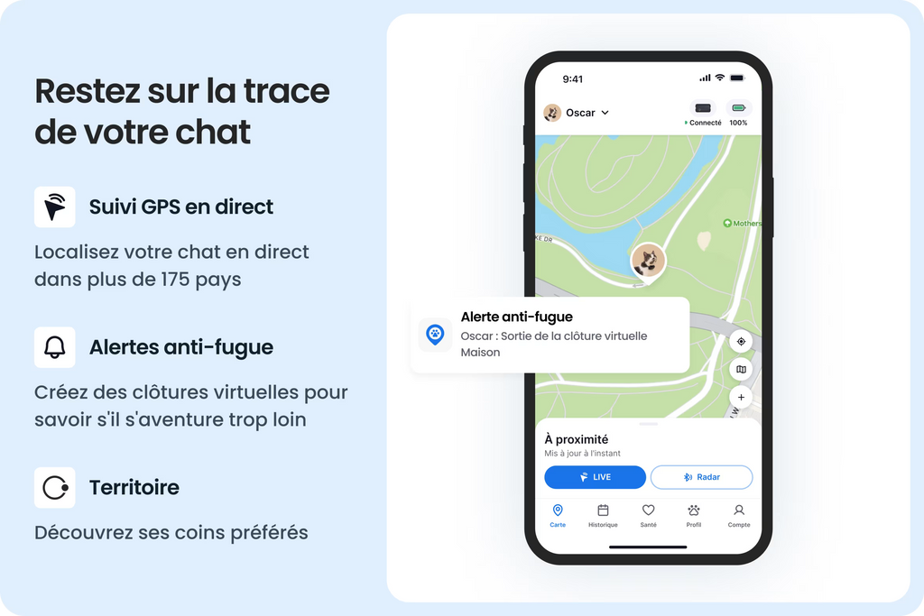 PetVision CAT Vision 6