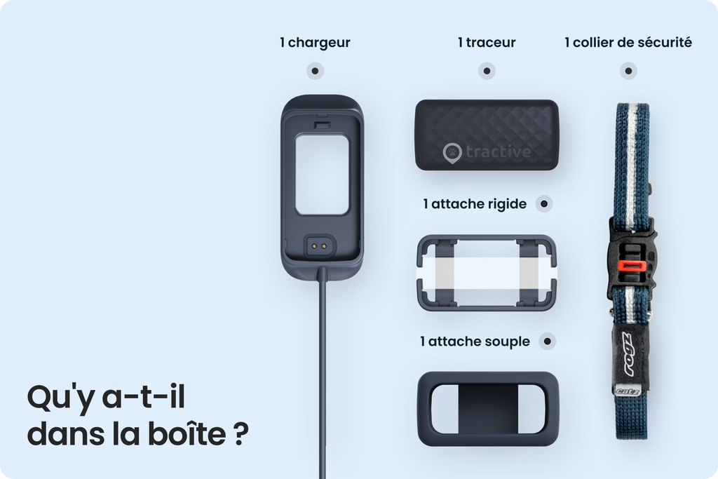 PetVision CAT Vision 6