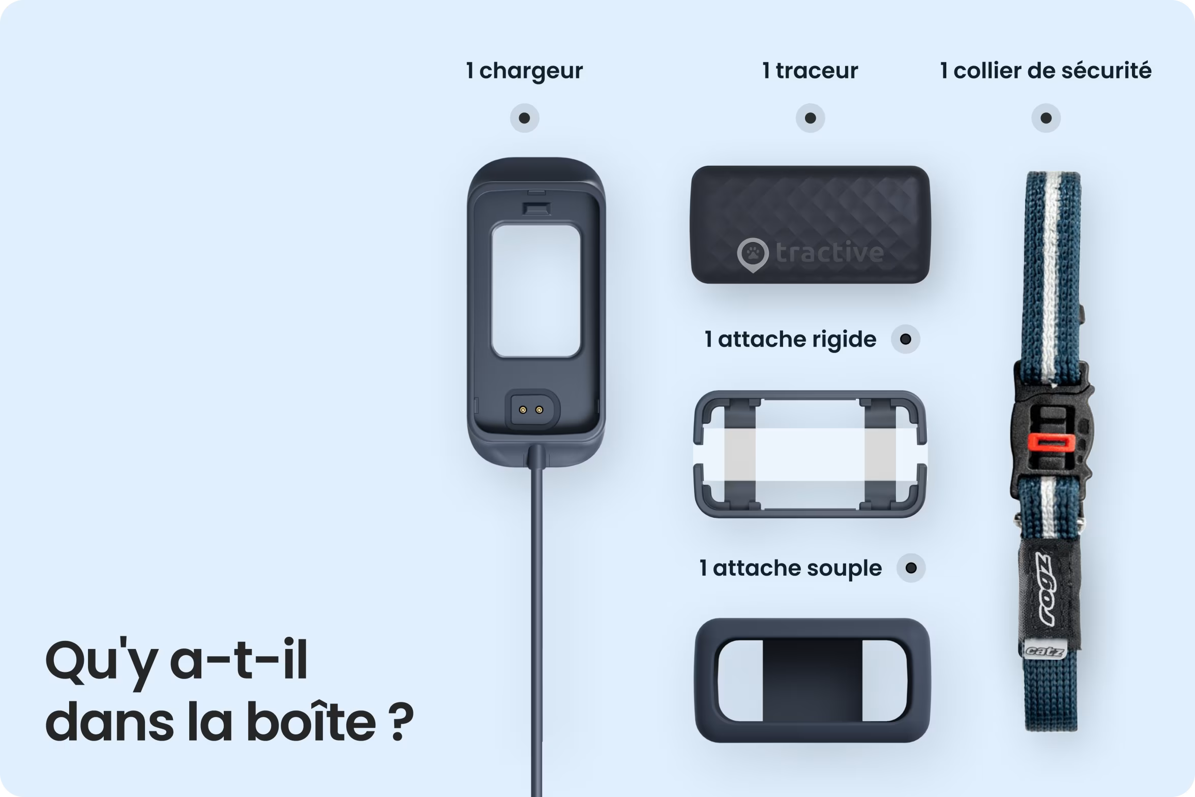 PetVision CAT Vision 6