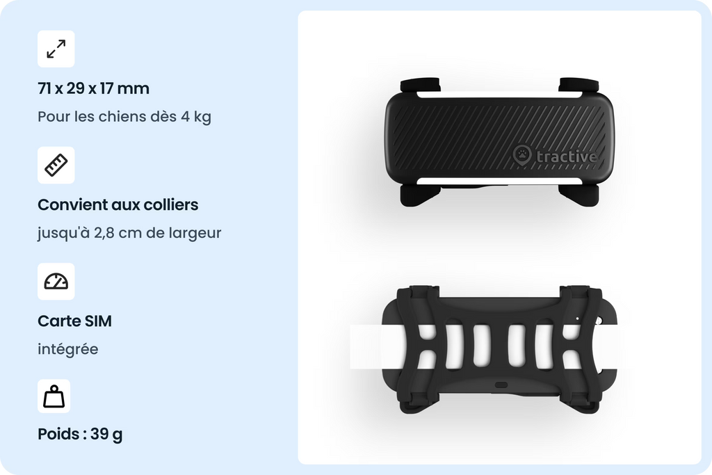 PetVision DOG Vision 6