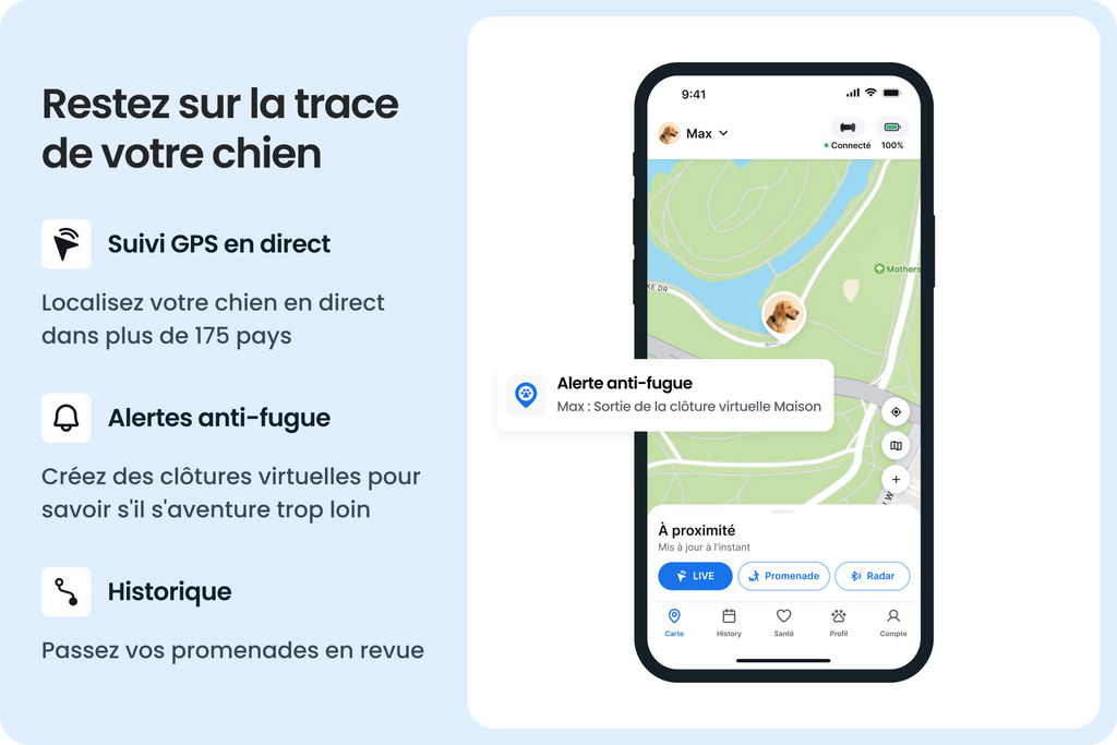 PetVision DOG Vision 6