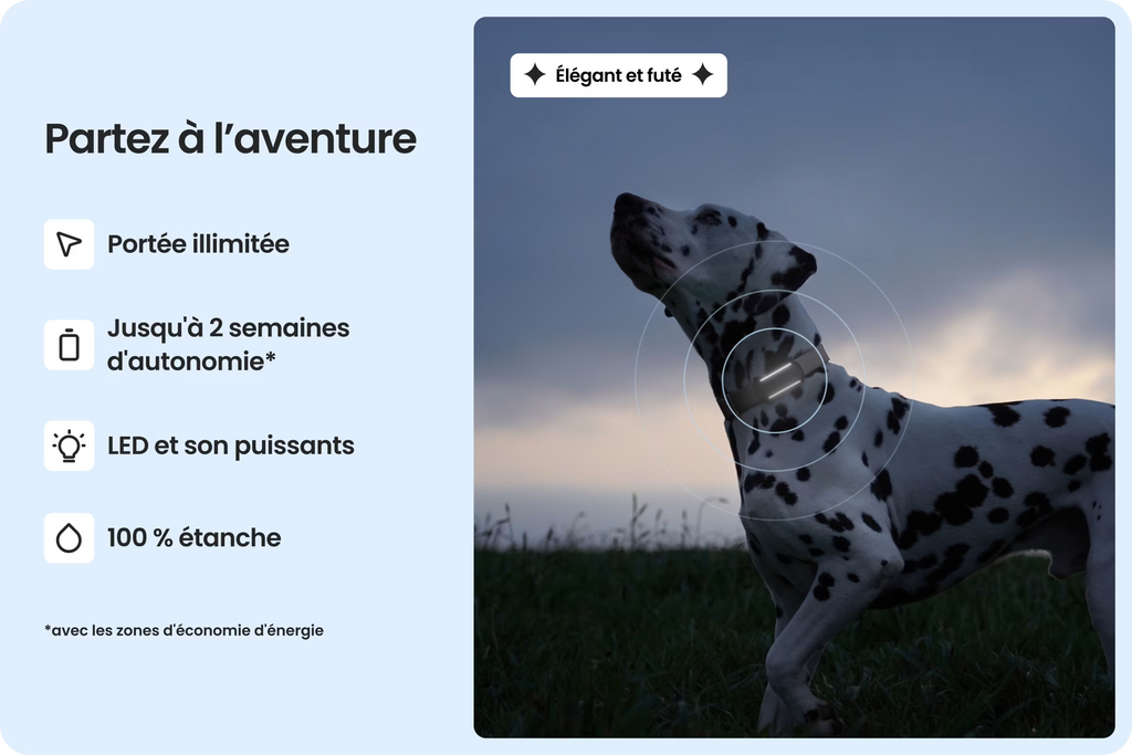 PetVision DOG Vision 6