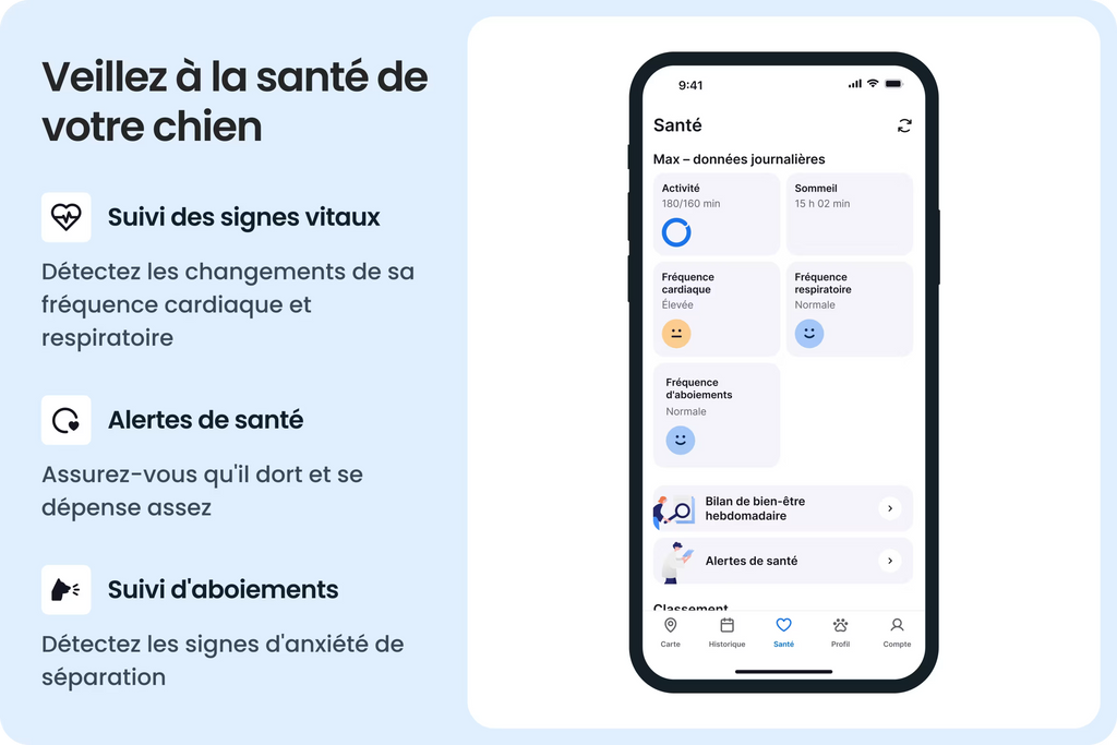 PetVision DOG Vision 6