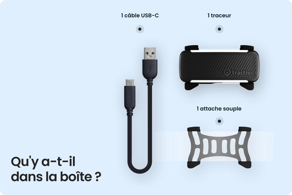 PetVision DOG Vision 6